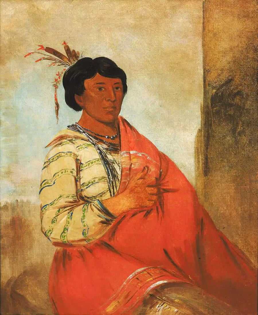 ガウザウク・ドゥング、挨拶をする者 - ジョージ・キャトリン

Source:
Gaw-záw-que-dung, Celui qui salue - George Catlin