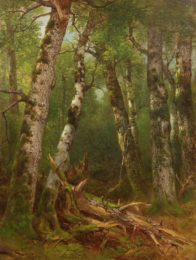 木のグループ - アッシャー・ブラウン・デュランド

Source:
Groupe d'arbres - Asher Brown Durand
