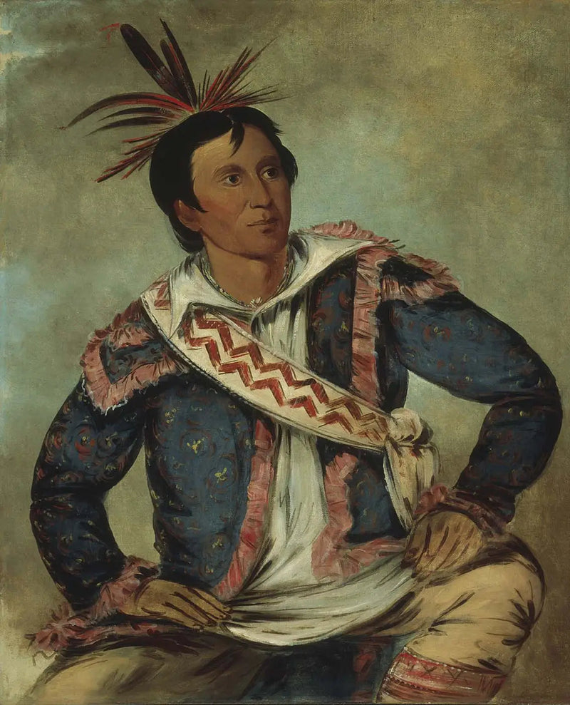 ハーチーチーチニー、ヘビの亀、メティス - ジョージ・キャトリン

Source:
Há-tchoo-túc-knee, tortue serpentine, une métisse - George Catlin