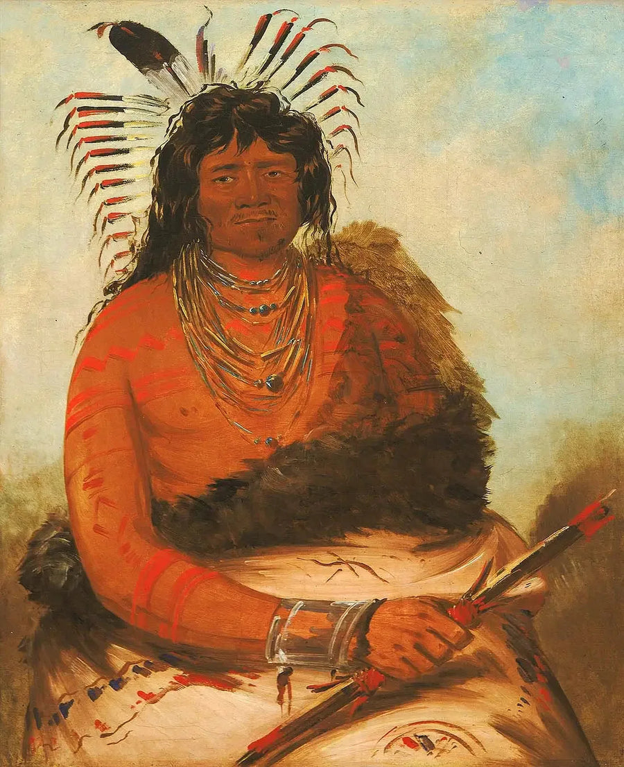 ハーニー、ビーバー、戦士 - ジョージ・キャトリン

Source:
Háh-nee, le castor, un guerrier - George Catlin
