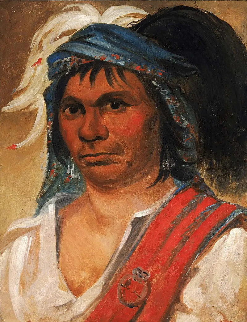 ハード・ヒッコリー、親切な男 - ジョージ・キャトリン

Source:
Hard Hickory, un homme aimable - George Catlin