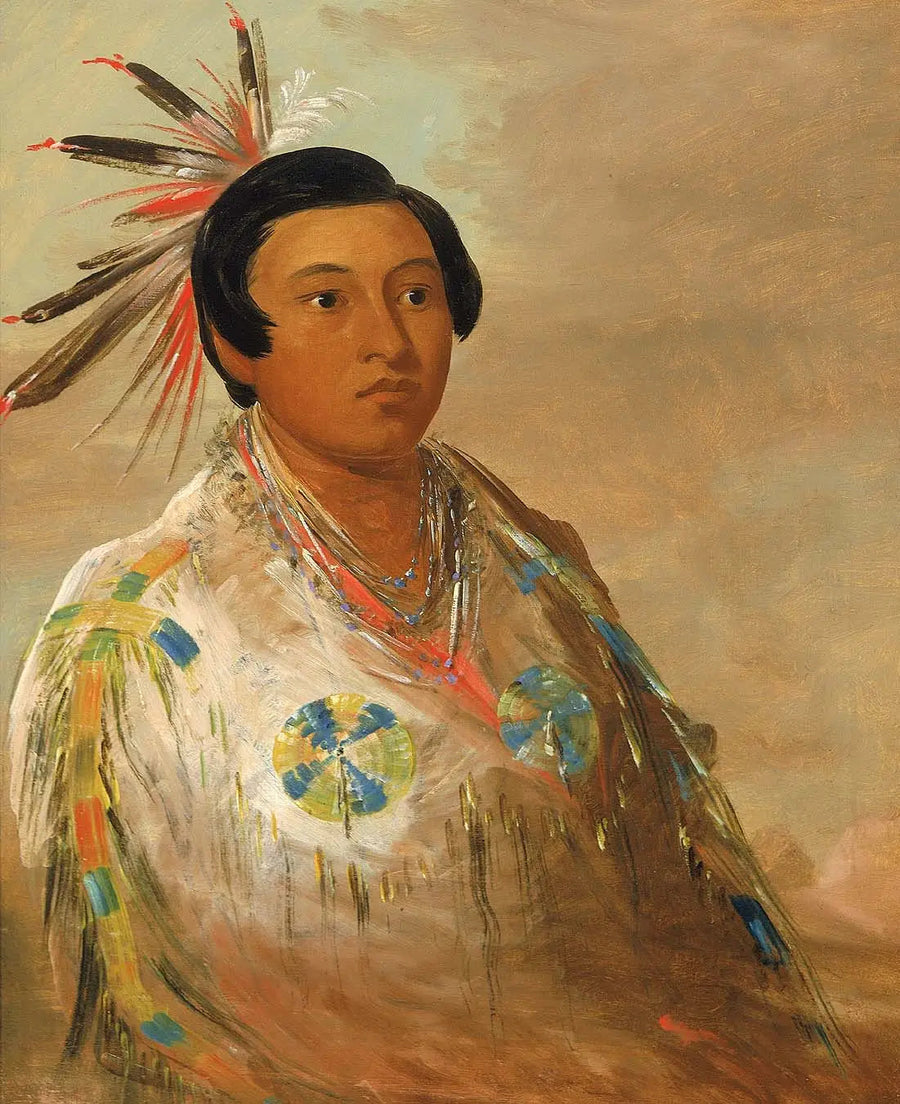 ヘイドゲアッツ、若い男性 - ジョージ・キャトリン

Source:
Hee-doh'ge-ats, un jeune homme - George Catlin