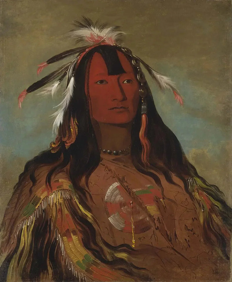 ヒーオクステーキン、ウサギの皮のレギンス - ジョージ・キャトリン

Source:
Hee-oh'ks-te-kin, leggings en peau de lapin - George Catlin