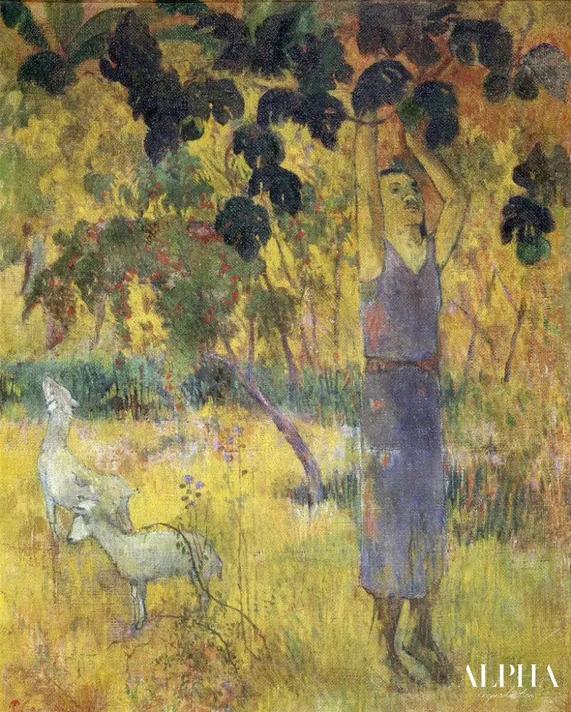 Homme cueillant des fruits sur un arbre - Paul Gauguin - Reproductions de tableaux et peintures haut de gamme