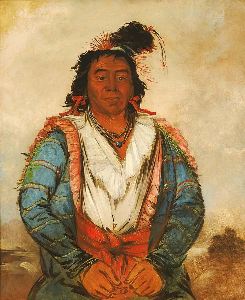 ホースプット・オー・カウ・ジー、アン・ブレイブ - ジョージ・キャトリン

Source:
Hose-put-o-káw-gee, un Brave - George Catlin