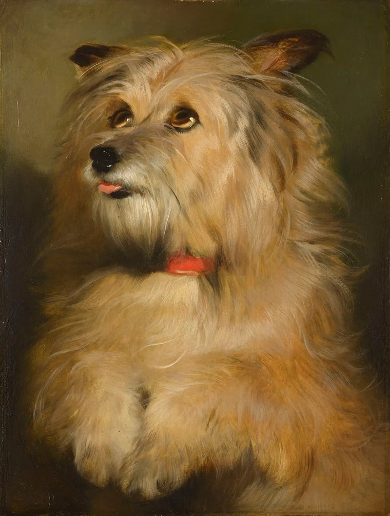 アイラ - エドウィン・ヘンリー・ランジアー

Source:
Islay - Edwin Henry Landseer