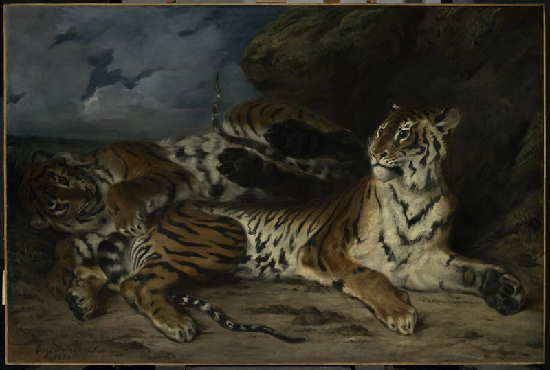 Jeune Tigre jouant avec sa mère, dit aussi Étude de deux tigres - Eugène Delacroix