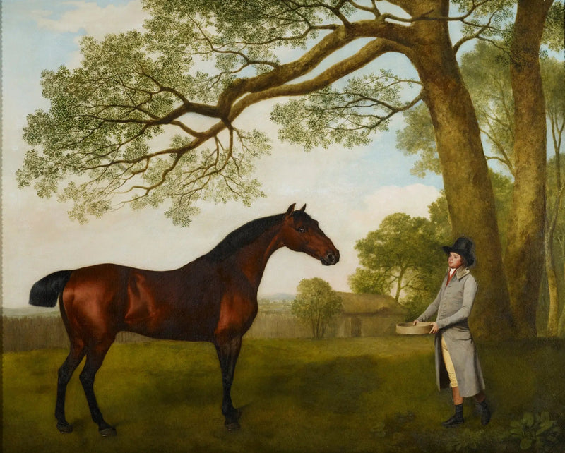 ジョン・ガスコインと黒馬 - ジョージ・スタッブス

Source:
John Gascoigne avec un cheval bai - George Stubbs
