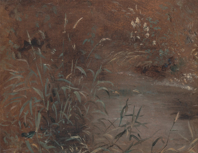 プールサイドのジョンズ - ジョン・コンスタブル

Source:
Joncs au bord d'une piscine - John Constable