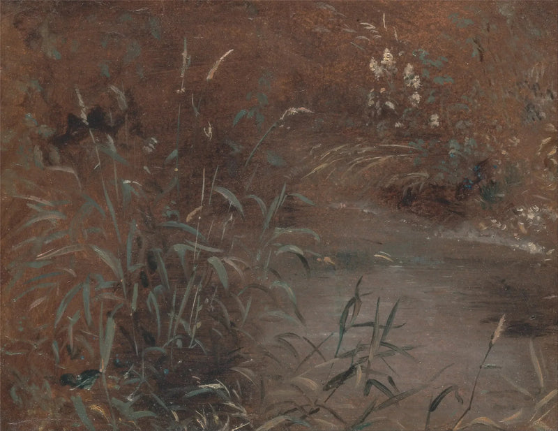 プールサイドのジョンズ - ジョン・コンスタブル

Source:
Joncs au bord d'une piscine - John Constable