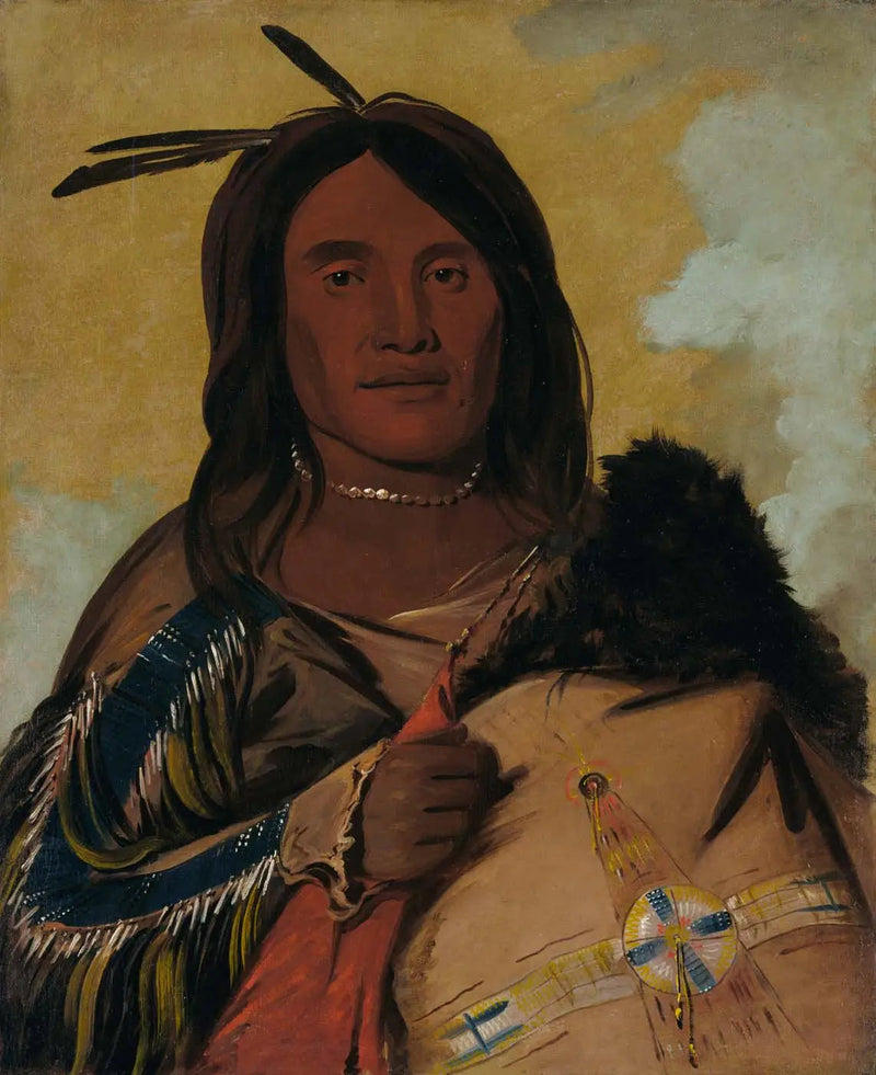 アルファレプリントによる油彩の複製画

Source:
Ka-pés-ka-da, Shell Man, un Oglala Brave - George Catlin