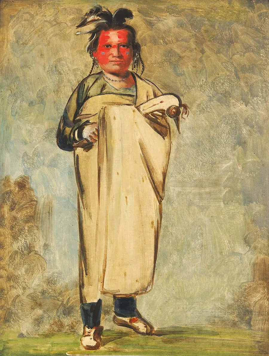 カウカウネチューア、アン・ブレイブ - ジョージ・キャトリン

Source:
Káw-kaw-ne-chóo-a, un Brave - George Catlin