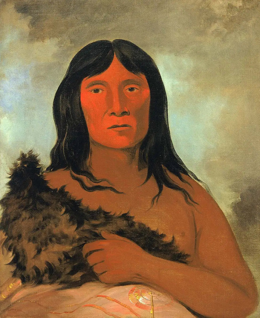 地面を足で探る者 - ジョージ・キャトリン

Source:
Kay-ée-qua-da-kúm-ee-gísh-kum, Celui qui sonde le sol avec son pied - George Catlin
