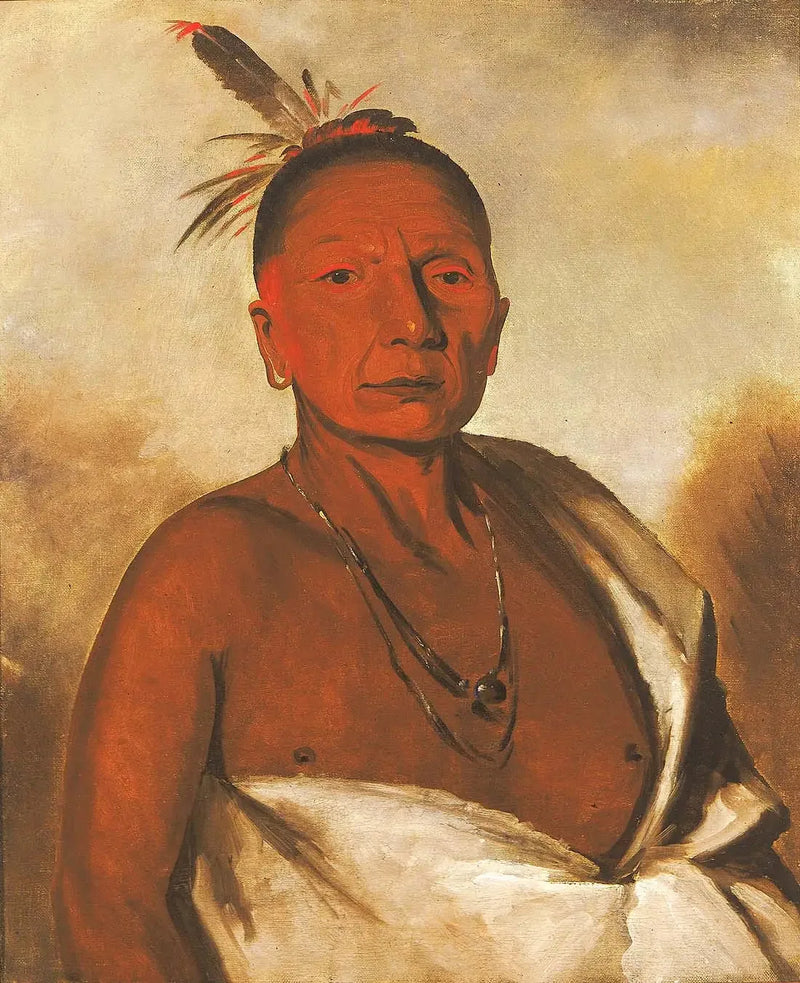 キッド・ア・デイ、勇敢で優れた男 - ジョージ・キャトリン

Source:
Kid-à-day, un brave distingué - George Catlin