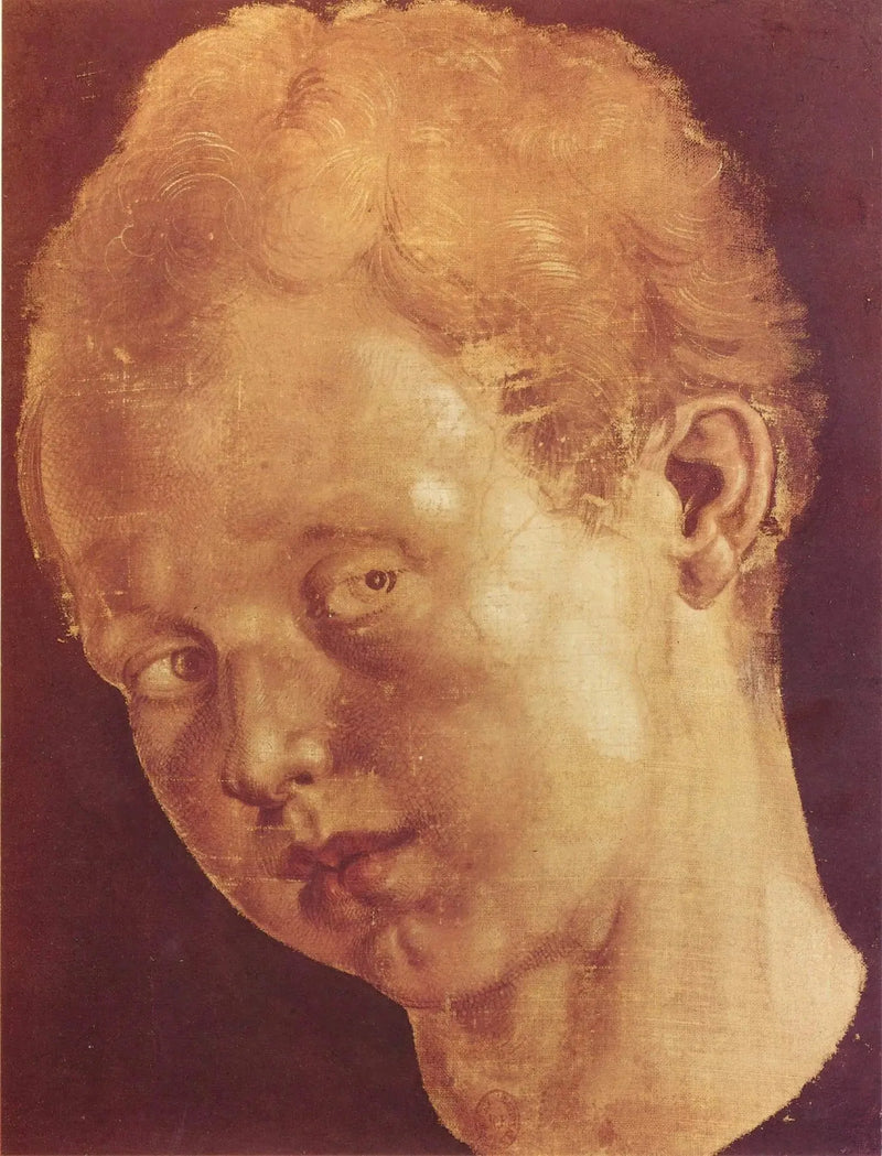 Q124458968 - アルブレヒト・デューラー