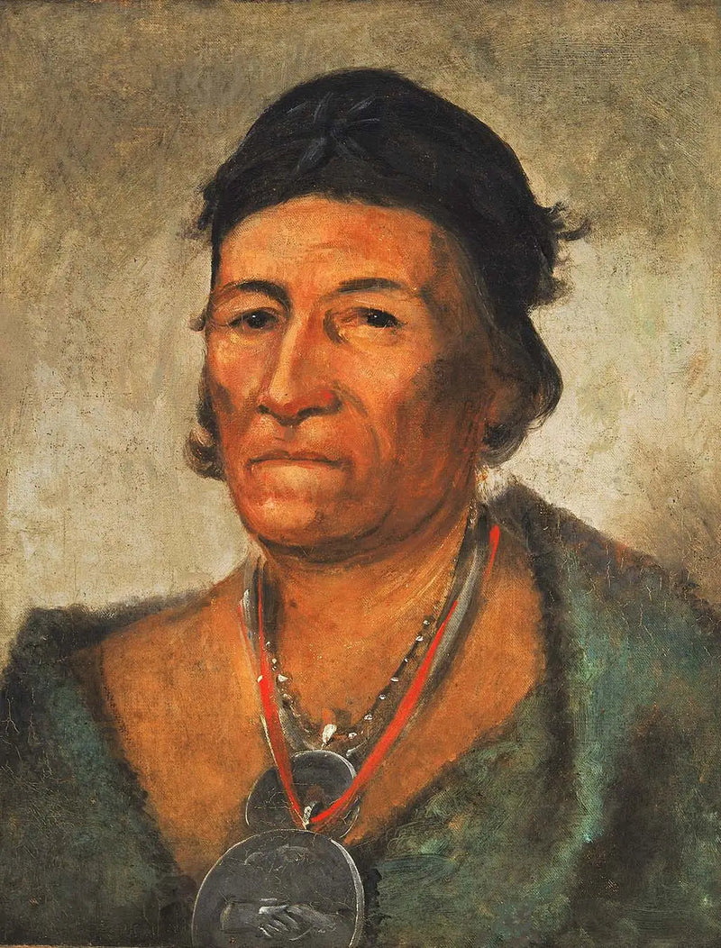 コーマニキン、大波、古くて優れたシェフ - ジョージ・キャトリン

Source:
Ko-mán-i-kin, Grande Vague, un chef ancien et distingué - George Catlin