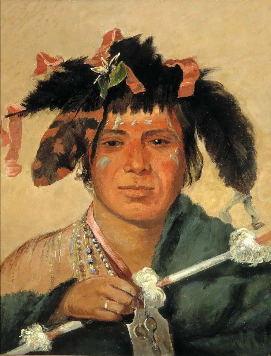 アルファレプリントによる油彩の複製画 - モナリザ

Source:
Ko-mán-i-kin-o-haw, Petite Baleine, une Brave - George Catlin