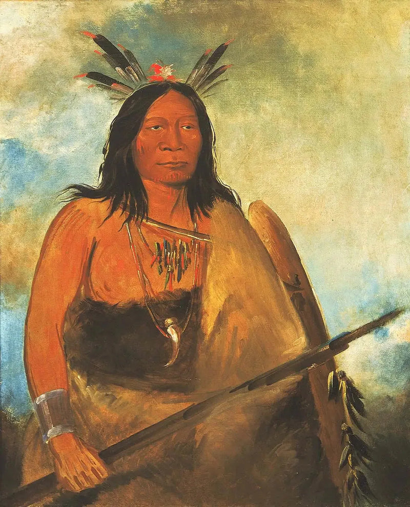 ジョージ・キャトリンによる牛の首の毛皮の肖像画

Source:
Kots-o-kó-ro-kó, Poil du cou du taureau, un chef - George Catlin