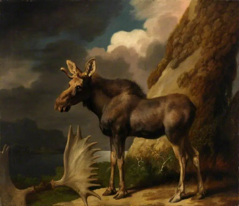 エラン - ジョージ・スタブス

Source:
L'élan - George Stubbs