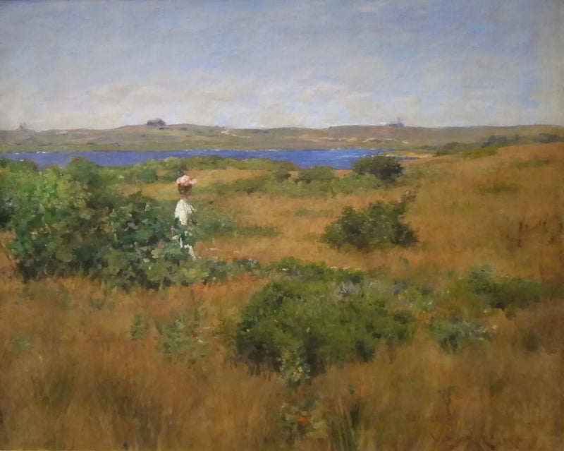 シネコック・ヒルズの夏 - ウィリアム・メリット・チェイス

Source:
L'été à Shinnecock Hills - William Merritt Chase