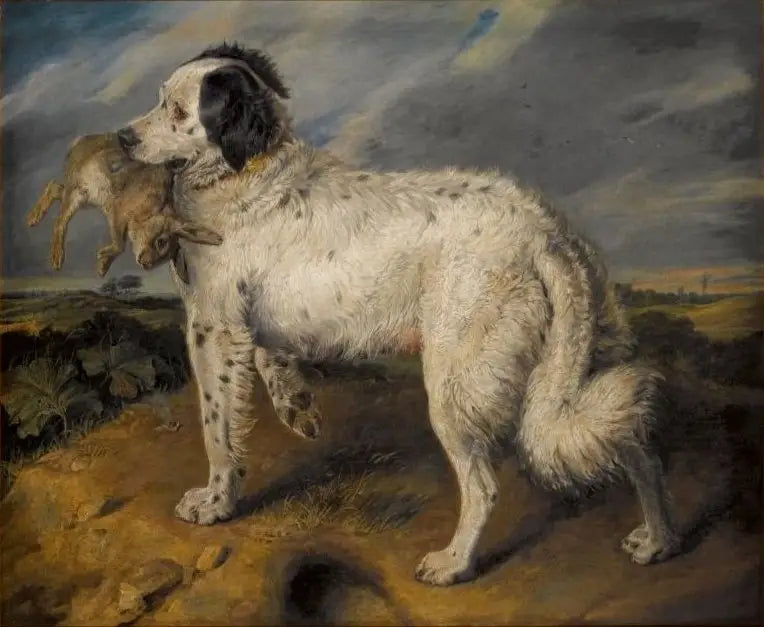 チャンピオン：ヴィーナス - エドウィン・ヘンリー・ランスィア

Source:
La Championne : Vénus - Edwin Henry Landseer