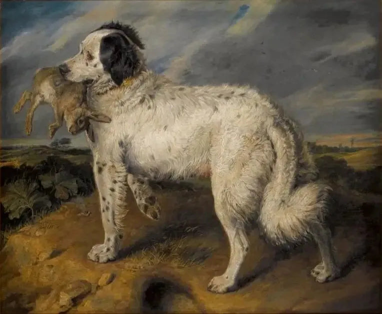 チャンピオン：ヴィーナス - エドウィン・ヘンリー・ランスィア

Source:
La Championne : Vénus - Edwin Henry Landseer