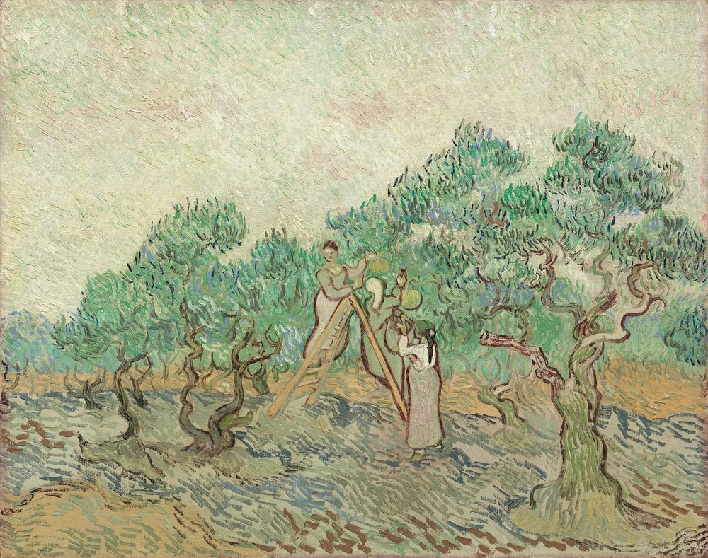 La Cueillette des olives - Vincent van Gogh image 1 copie de tableau peinte à la main