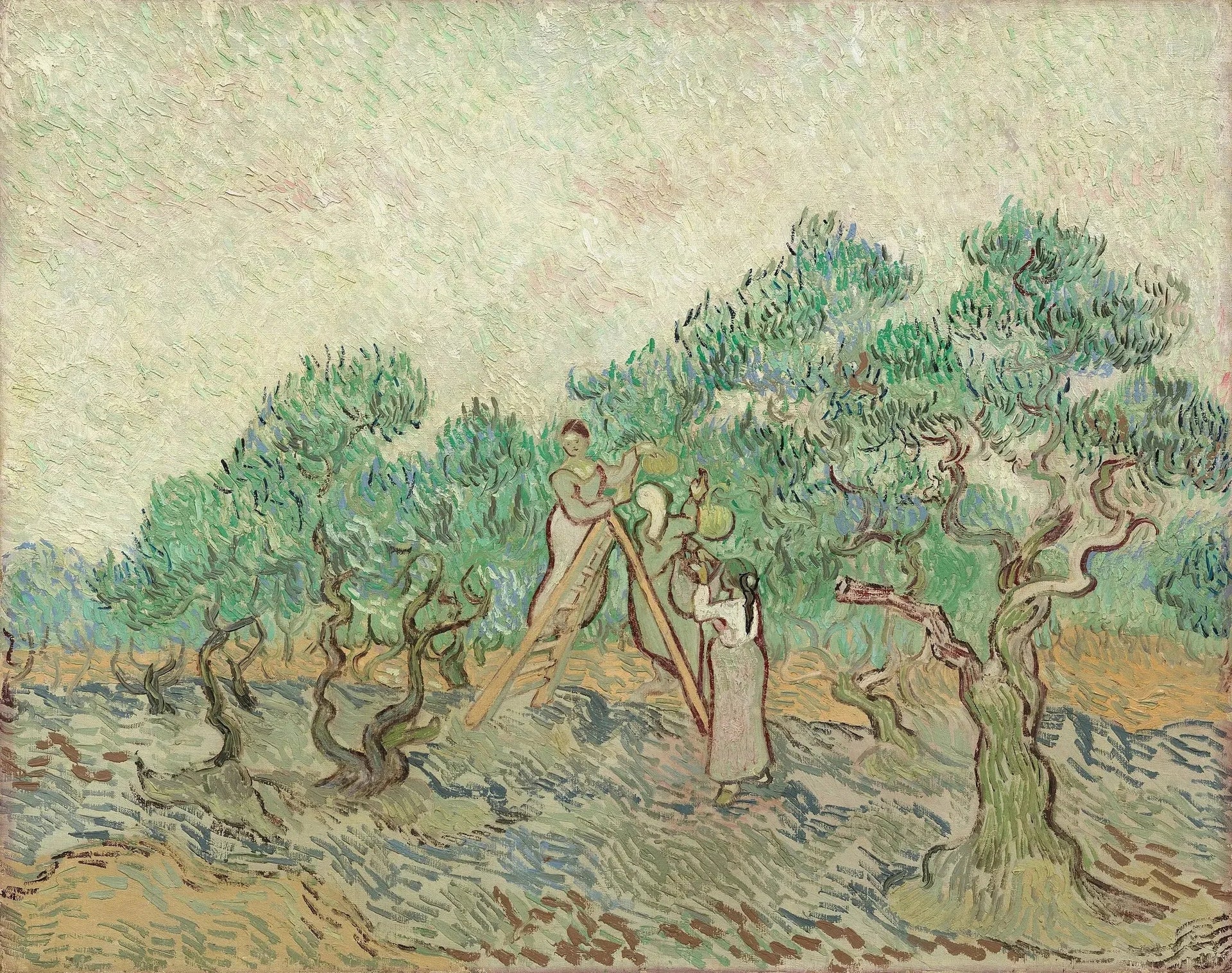 La Cueillette des olives - Vincent van Gogh image 1 copie de tableau peinte à la main