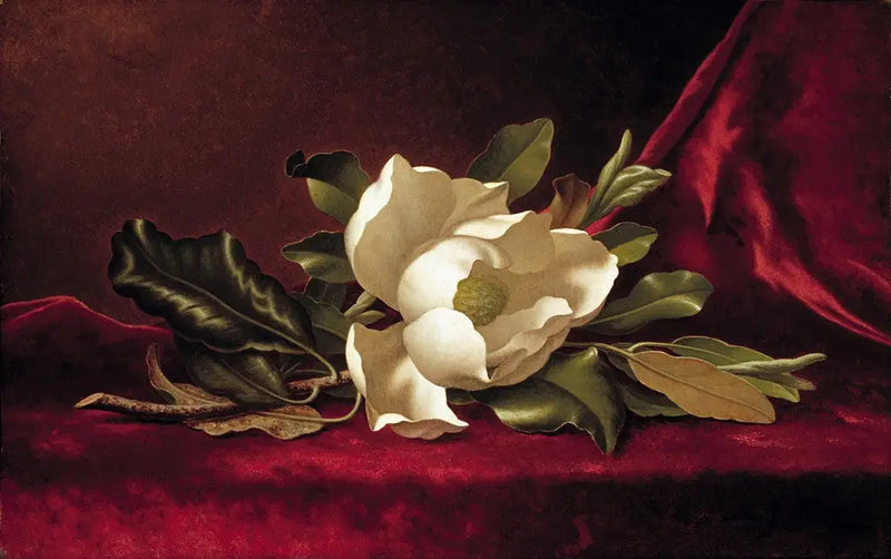 マグノリアの花 - マーティン・ジョンソン・ヒード

Source:
La fleur de magnolia - Martin Johnson Heade