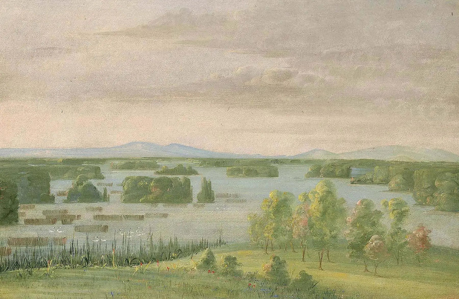 白鳥の湖（白鳥の湖）、プレ・デュ・コトー・デ・プレリー - ジョージ・キャトリン

Source:
Lac du Cygne (Lac des Cygnes), Près du Coteau des Prairies - George Catlin