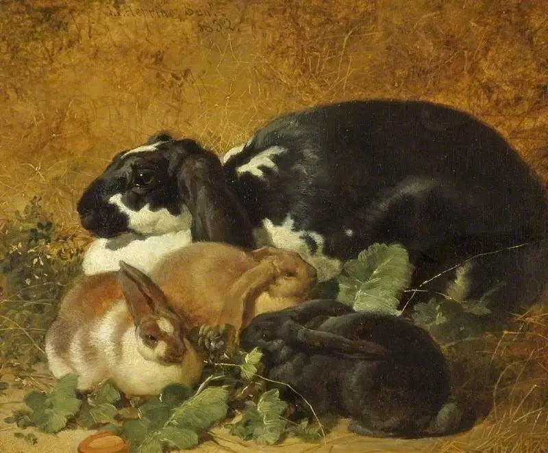 ウサギ - ジョン・フレデリック・ヘリング Sr.

Source:
Lapins - John Frederick Herring, Sr.
