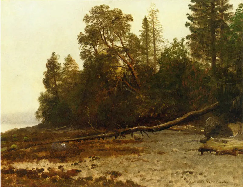 倒れた木 - アルバート・ビアシュタット

Source:
L'arbre tombé - Albert Bierstadt