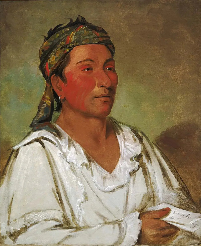 アルファレプリカの油彩絵画のレプリカ

Source:
Lay-lóo-ah-pee-ái-shee-kaw, herbe, buisson et fleur, semi-civilisé - George Catlin