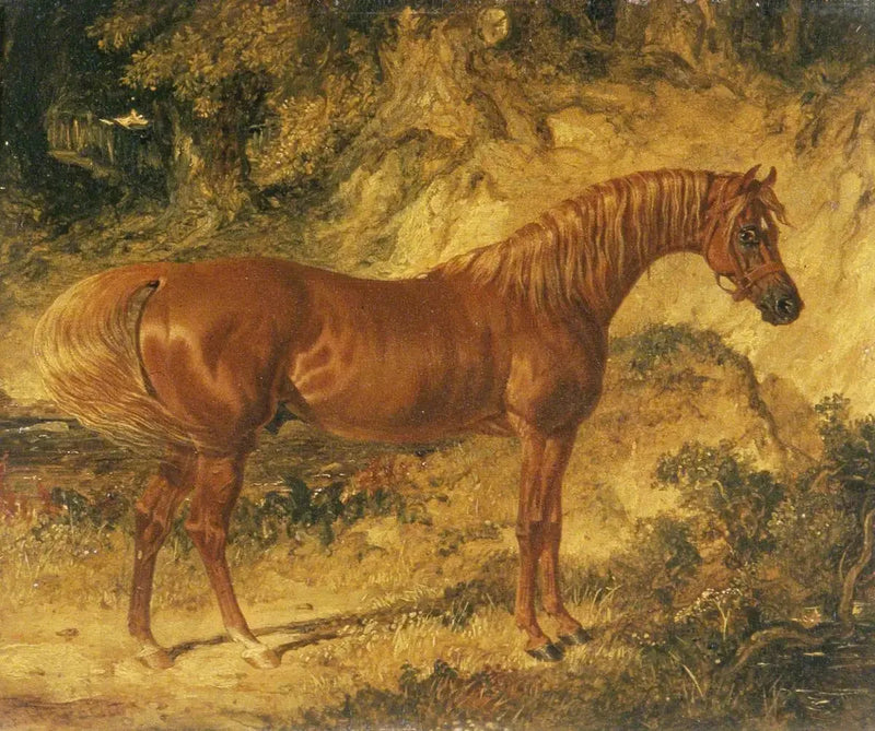 競走馬「アクテオン」 - ジョン・フレデリック・ヘリング Sr. 

Source:
Le cheval de course « Actéon » - John Frederick Herring, Sr.
