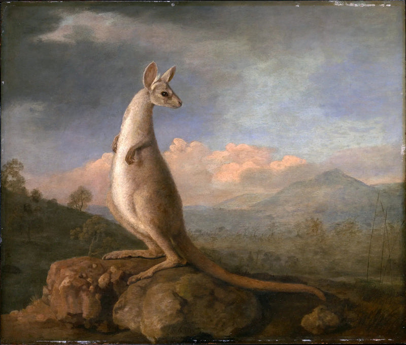 ニュー・ホランドのコングルー - ジョージ・スタッブス

Source:
Le Kongouro de New Holland - George Stubbs