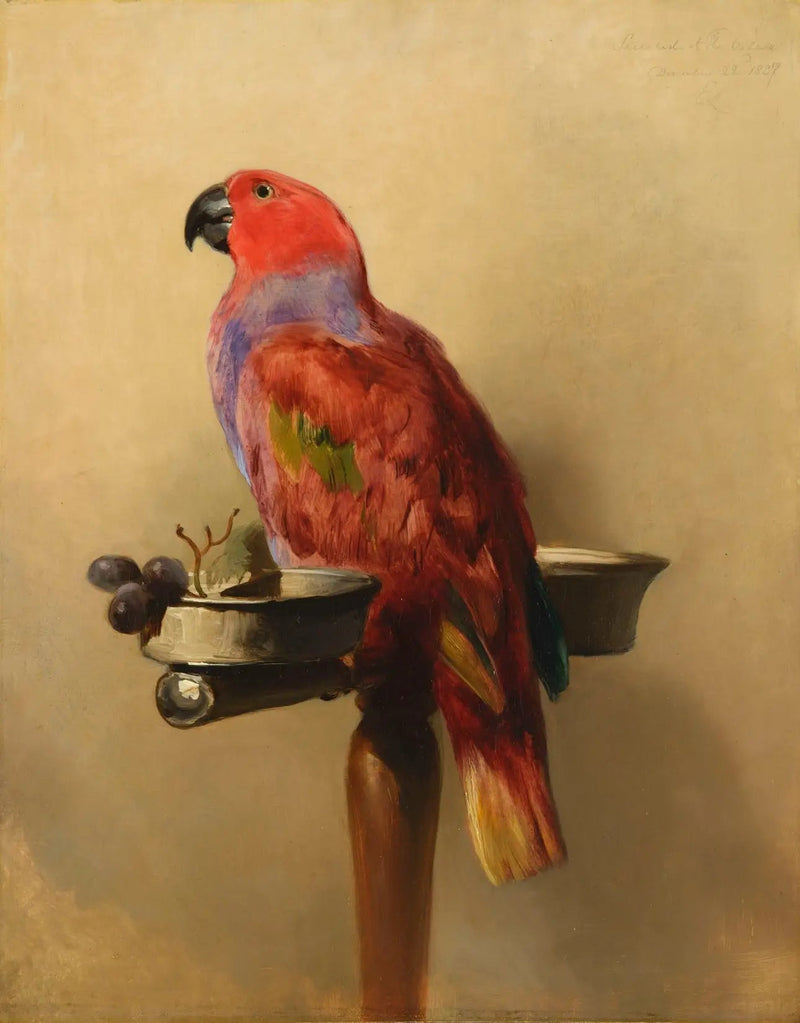 ルリ - エドウィン・ヘンリー・ランシー

Source:
Le Lori - Edwin Henry Landseer