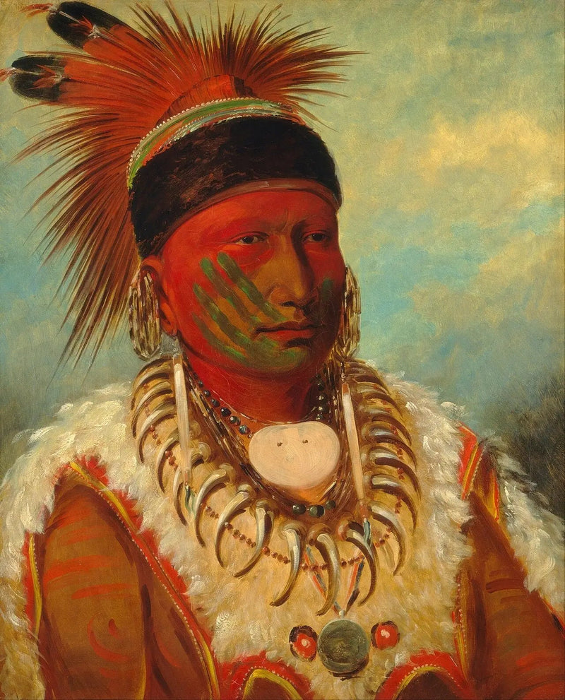 ホワイトクラウド、アイオワ族の長 - ジョージ・キャトリン

Source:
Le Nuage Blanc, chef des Iowas - George Catlin