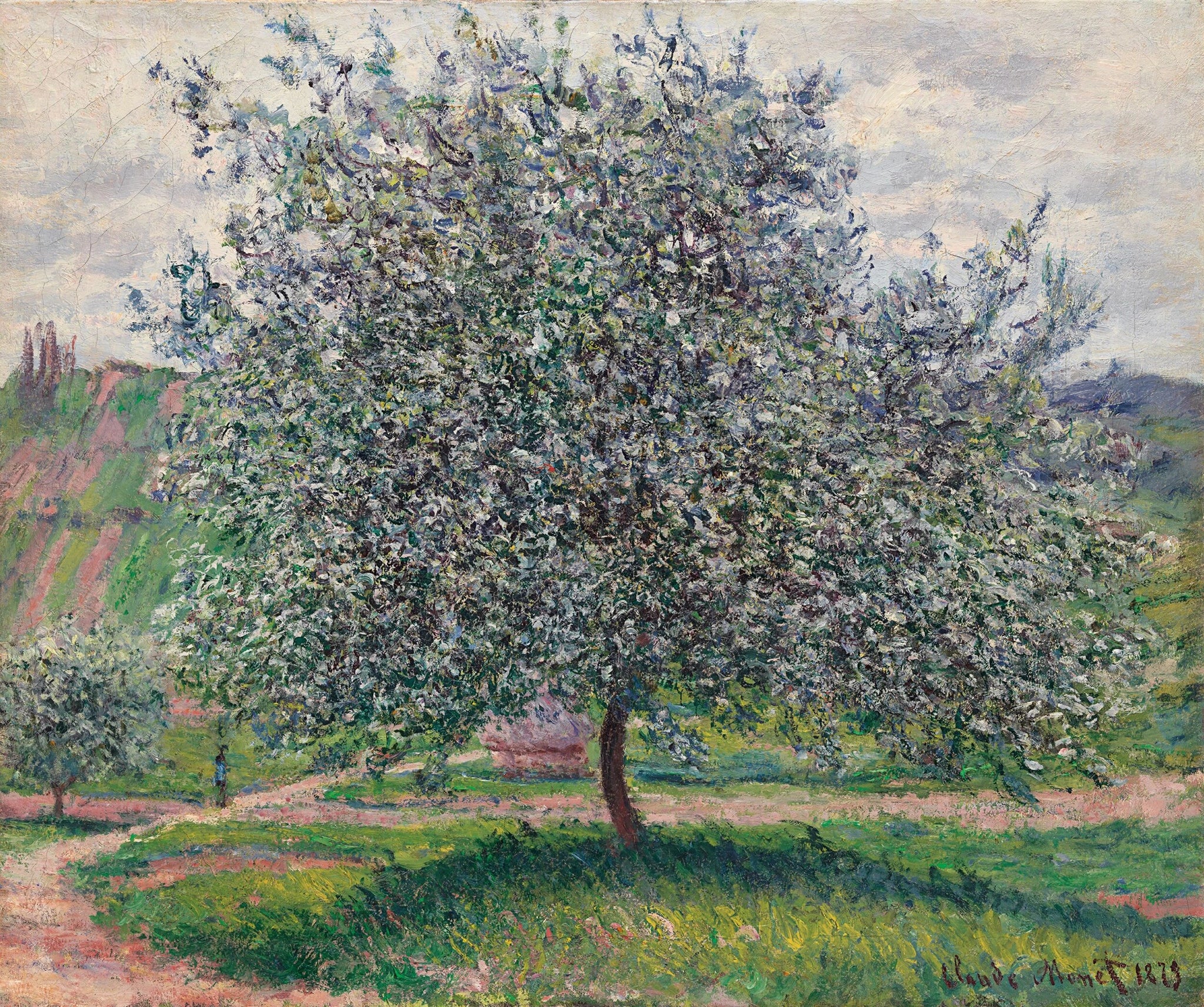 Le Pommier W523 par Claude Monet, Museum Barberini