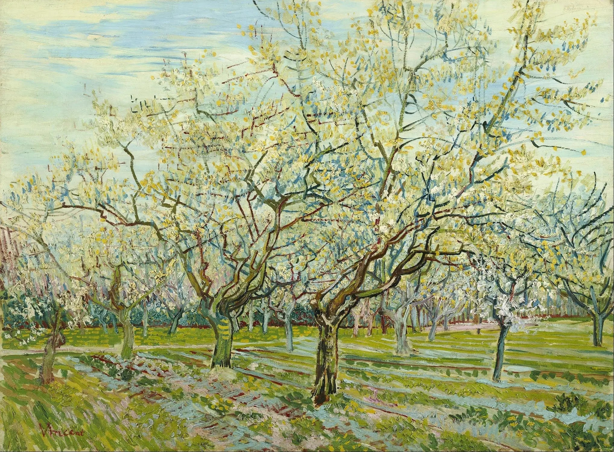 Le verger blanc - Vincent van Gogh image 1 reproduction de peinture à l’huile