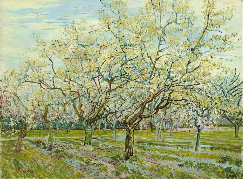 白い果樹園 - Vincent van Gogh