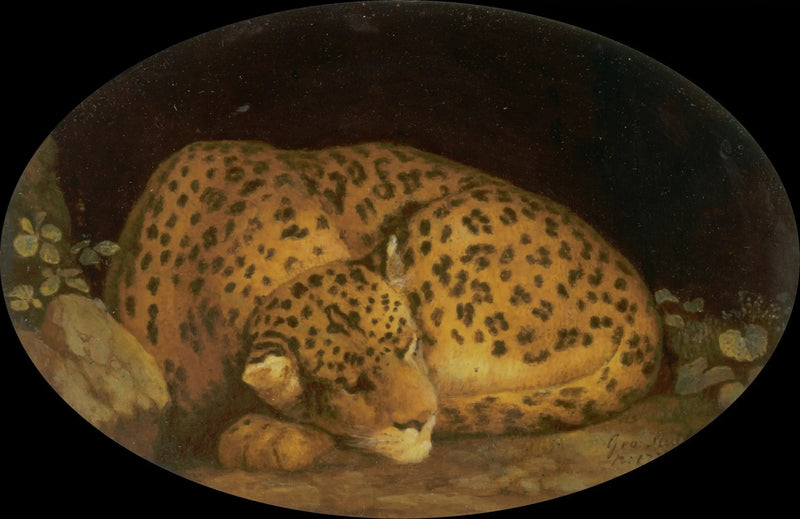 眠るヒョウ - ジョージ・スタッブス

Source:
Léopard endormi - George Stubbs