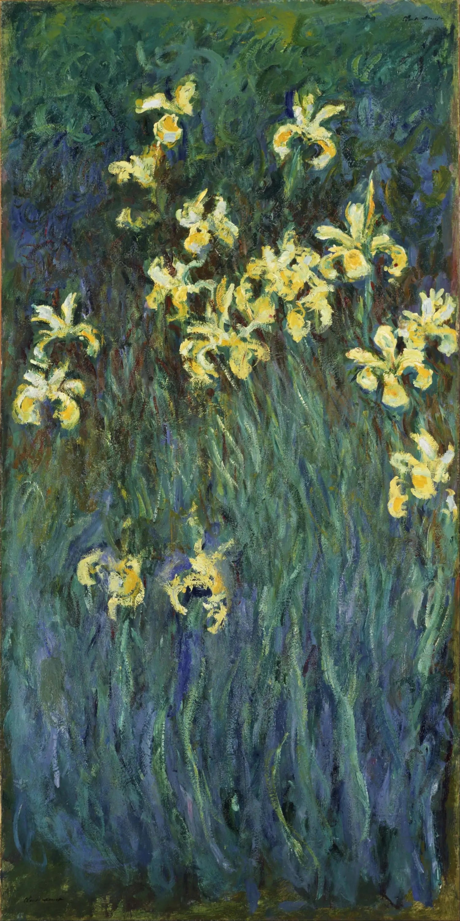 Les iris jaunes - Claude Monet image 1 reproduction réalisée par Alpha Reproduction