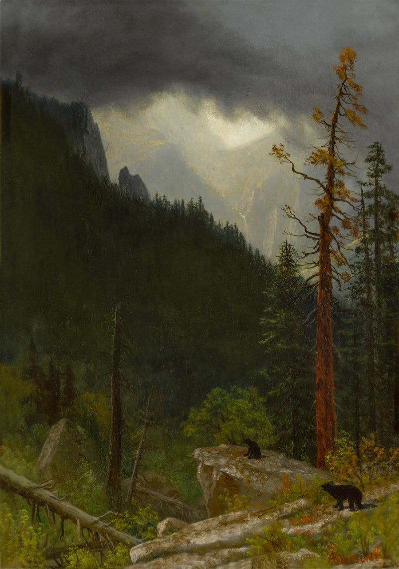 嵐の後のロッキー山脈 - アルバート・ビアシュタット

Source:
Les Rocheuses après une tempête - Albert Bierstadt