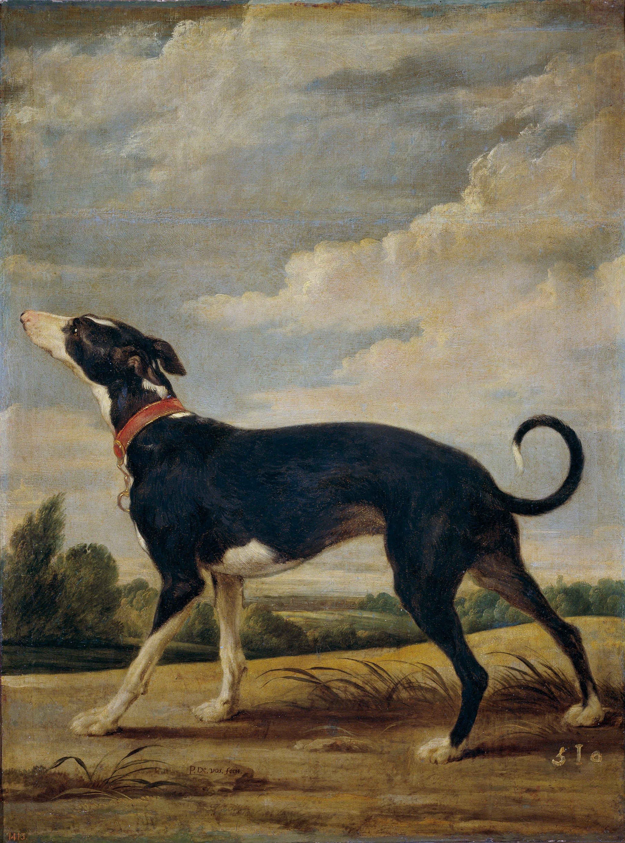 Un lévrier à l'affût - Paul de Vos
