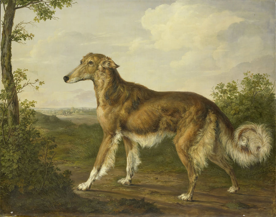 Lévrier de Sibérie - Jan Dasveldt