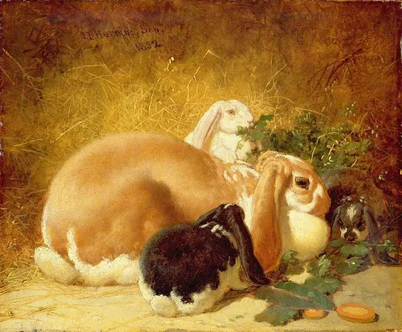 ベルギーのウサギ - ジョン・フレデリック・ヘリング Sr.  

Source:
Lièvres belges - John Frederick Herring, Sr.
