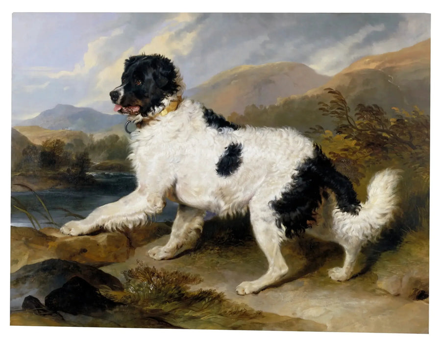 ライオン、ニューファンドランド・ドッグ - エドウィン・ヘンリー・ランシー

Source:
Lion', un chien de Terre-Neuve - Edwin Henry Landseer