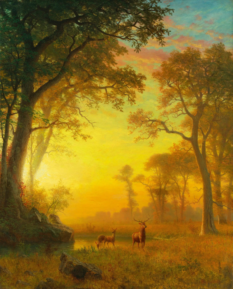 森の中の光 - アルバート・ビアシュタット

Source:
Lumière dans la forêt - Albert Bierstadt