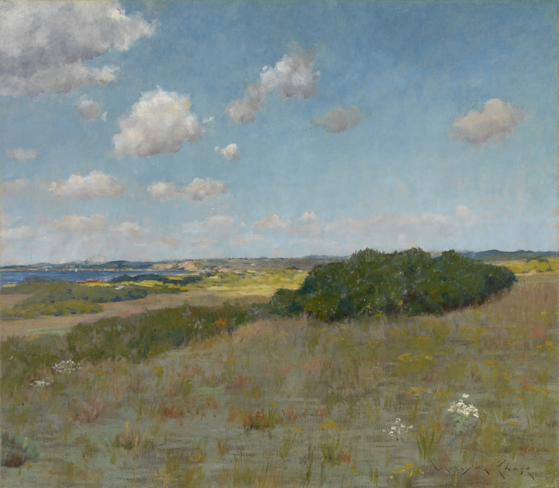 太陽の光と影、シネコックヒルズ - ウィリアム・メリット・チェイス

Source:
Lumière du soleil et ombre, Shinnecock Hills - William Merritt Chase