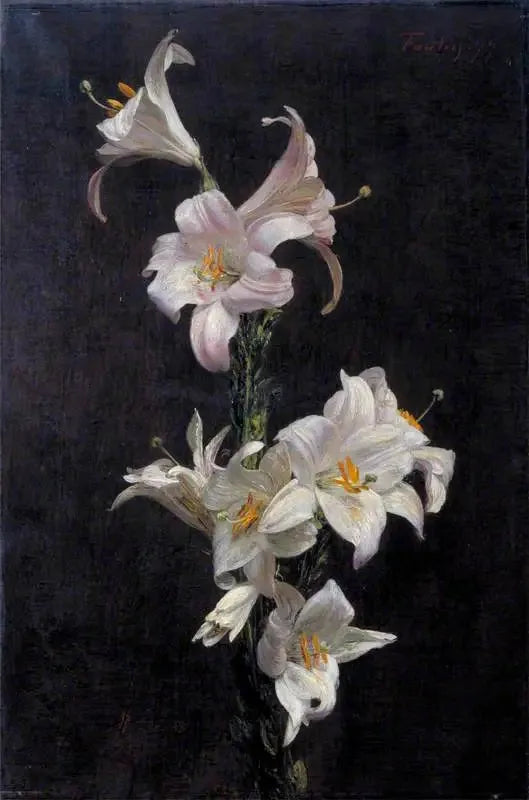 白いユリ - アンリ・ファンタン＝ラトゥール

Source:
Lys blancs - Henri Fantin-Latour